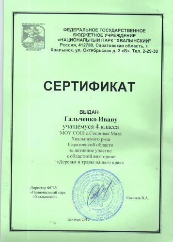 Сертификат Гальченко Ивана, 4 класс