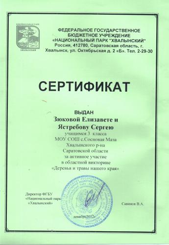 Сертификат Зюковой Елизаветы и Ястребова Сергея, 3 класс