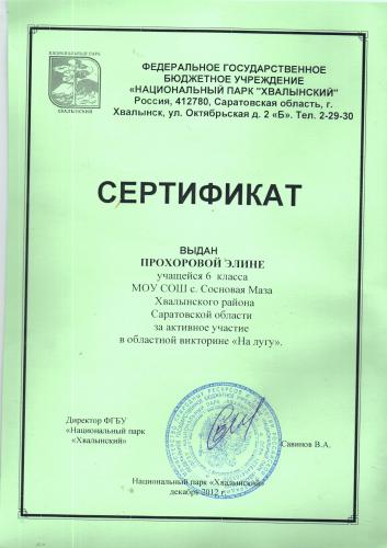 Сертификат Прохоровой Элины, 6 класс
